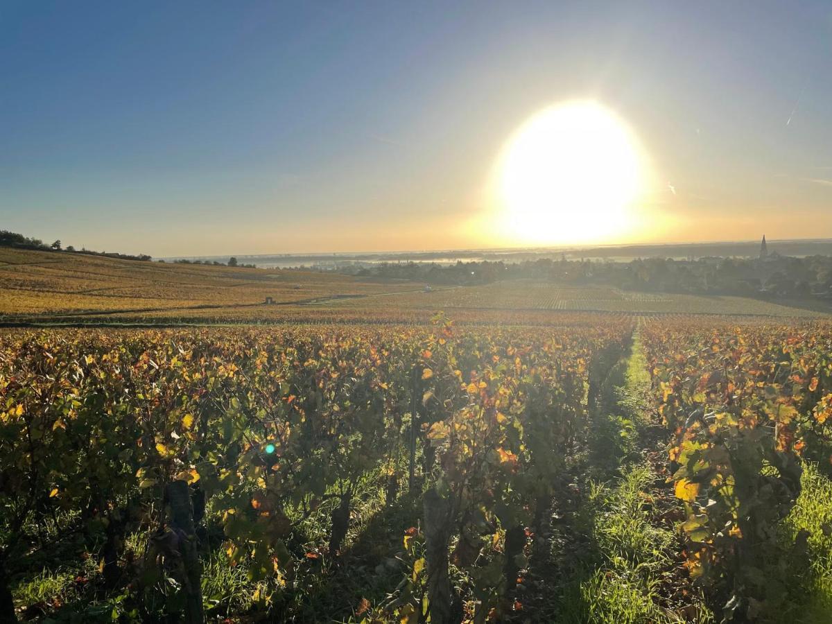 Le Clos De Miribel ジヴリ エクステリア 写真