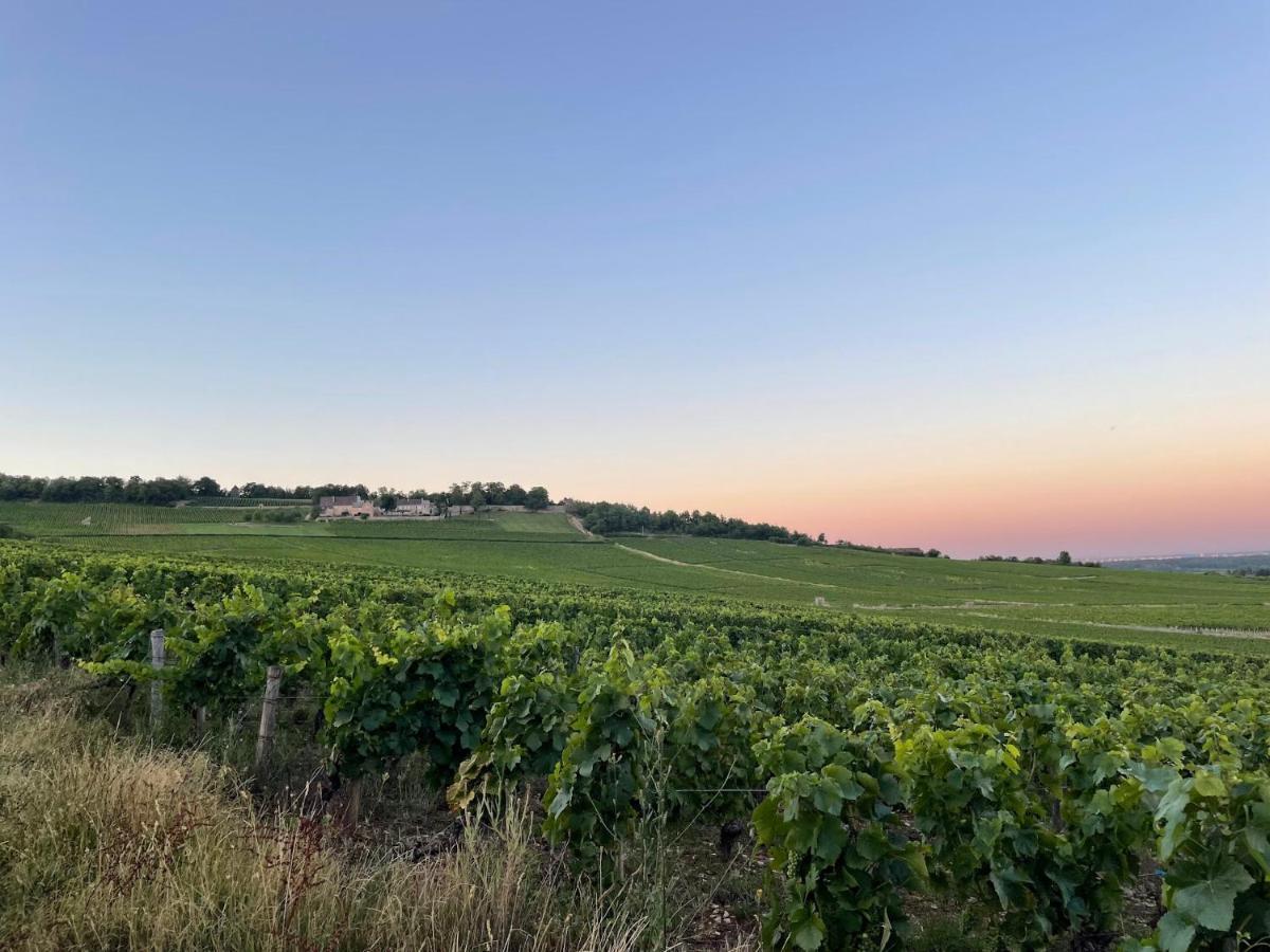 Le Clos De Miribel ジヴリ エクステリア 写真