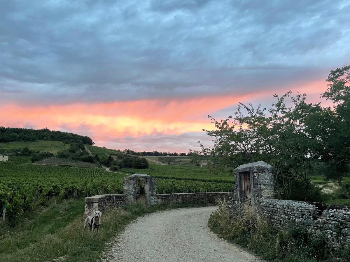 Le Clos De Miribel ジヴリ エクステリア 写真